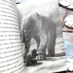 “Poslednji medved” je divna, topla priča iz pera Hane Gold.